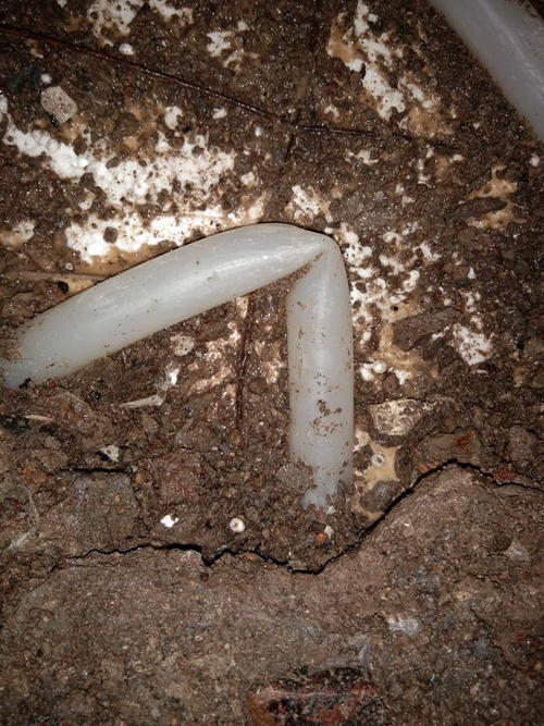 尼勒克堵点精准查找